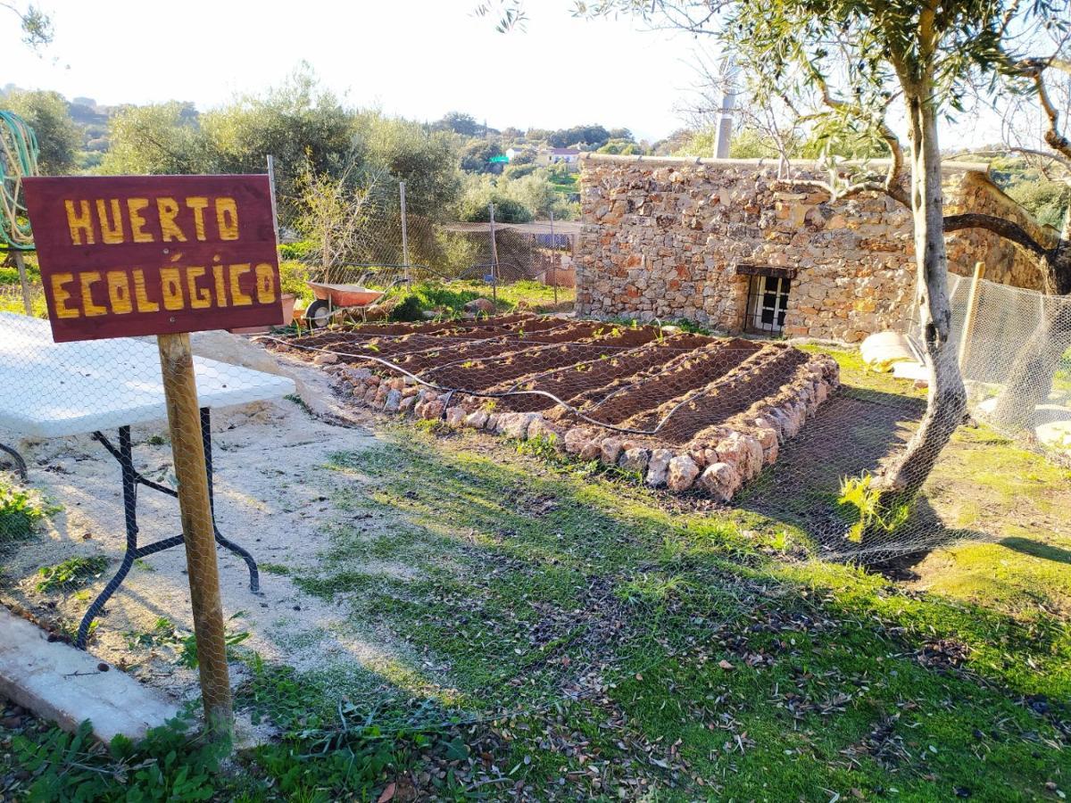 Casa Rural Bellavista רונדה מראה חיצוני תמונה