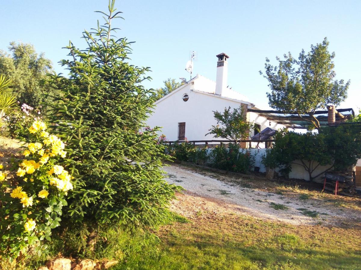 Casa Rural Bellavista רונדה מראה חיצוני תמונה