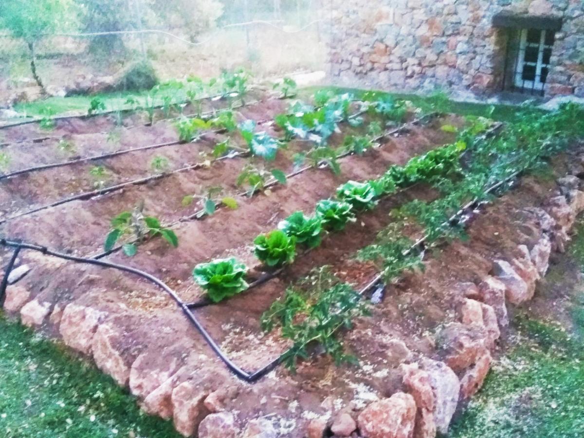 Casa Rural Bellavista רונדה מראה חיצוני תמונה